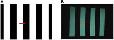 Three-dimensional measurement method based on the singular operator and the shortest path search technique